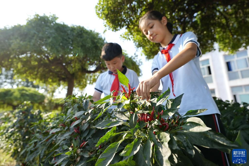 银河国际手机网址2949